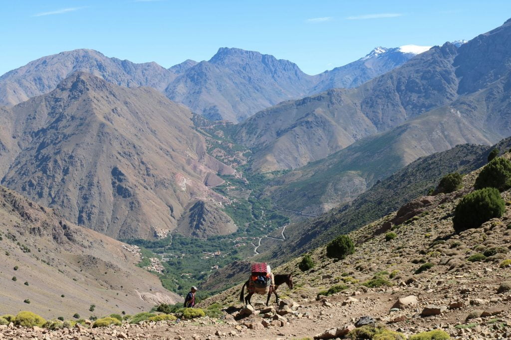 high atlas mountains with man hiking with donkey