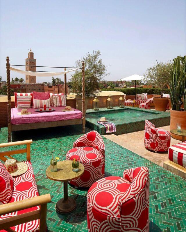 Happy weekend from our rooftop in sunny Marrakech.☀️ We've just shared some of our signature cocktail recipes in our newsletter so be sure to subscribe if you haven't already.🍹 Cheers.✨#elfenn #elfennmarrakech #happyhour #rooftopbar #marrakechbynight #marrakech #morocco #riad #marrakechriad #cocktails #marrakechvibes #beautifulhotels #uniquehotels #topworldhotel #weekend #weekendvibes