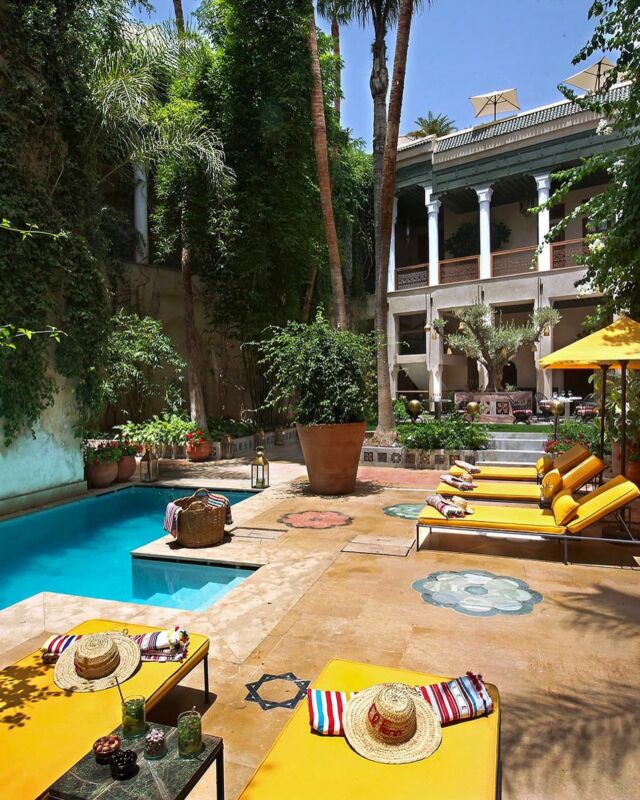 The perfect place to while away a sultry afternoon… ☀️ We have four pools in our hotel, but our main ground floor location is particularly lush for the upcoming summer season. It's tiled in carrara marble and surrounded by foliage so there’s always plenty of shade. 🌿💙 (And yes, you can absolutely order cocktails there as well. 🍹)#elfenn #elfennmarrakech #happyhour #summervibes #marrakech #morocco #riad #marrakechriad #marrakechvibes #beautifulhotels #uniquehotels #topworldhotel #weekend #beautifulinteriors #worldofinteriors #designlovers #weekendgetaway #botanicaldaydreams #outsidein #thespacesilike #poolparty #pooltime #poolday #poolside